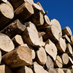 Firewood
